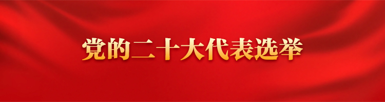 聚焦党的二十大代表